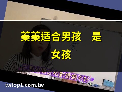 名字有蓁