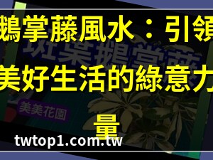 斑葉鵝掌藤風水